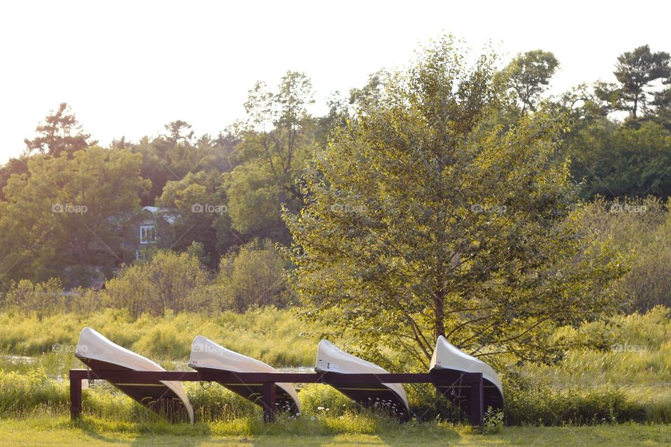 Canoes in summer