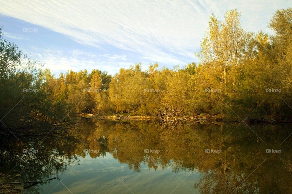 Lake at autumn reflecting a forest