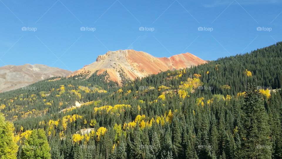 Wood, No Person, Mountain, Snow, Nature