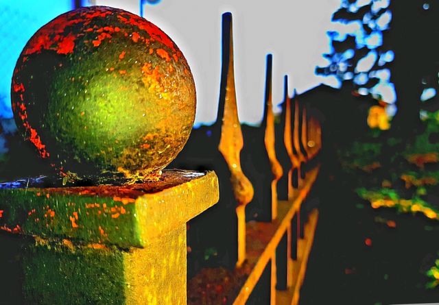 daddy's fence