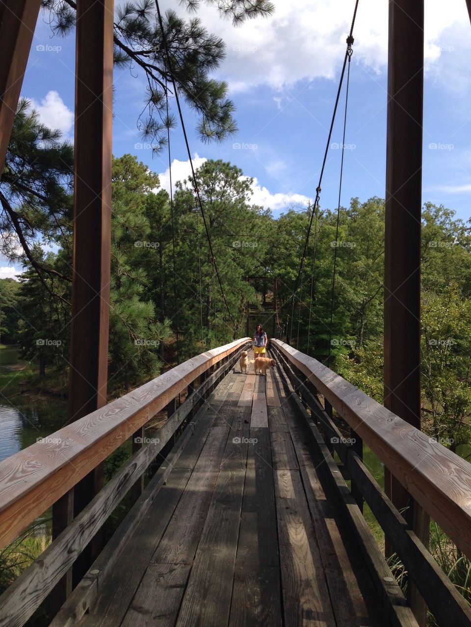 transportation system