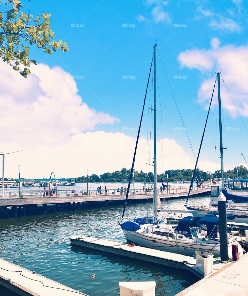 Blue skies over the pier 