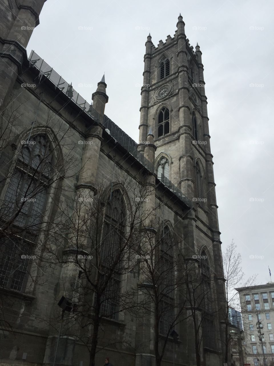 Basilique Notre-Dame de Montréal
