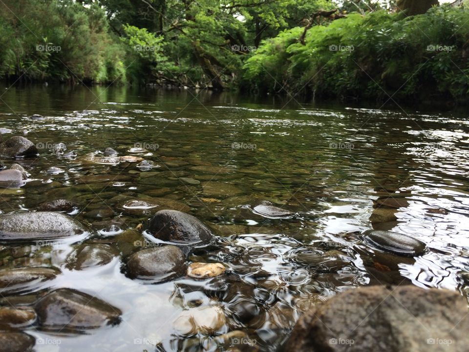 River. Quiet river in deep forest, Ireland