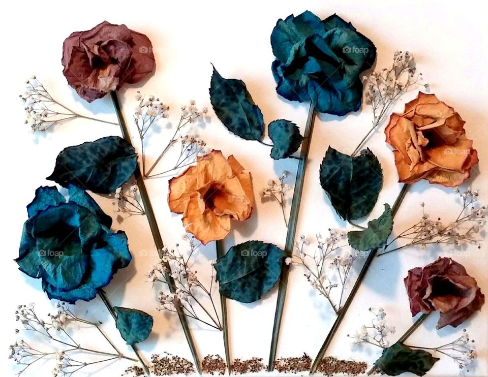 dry flowers art