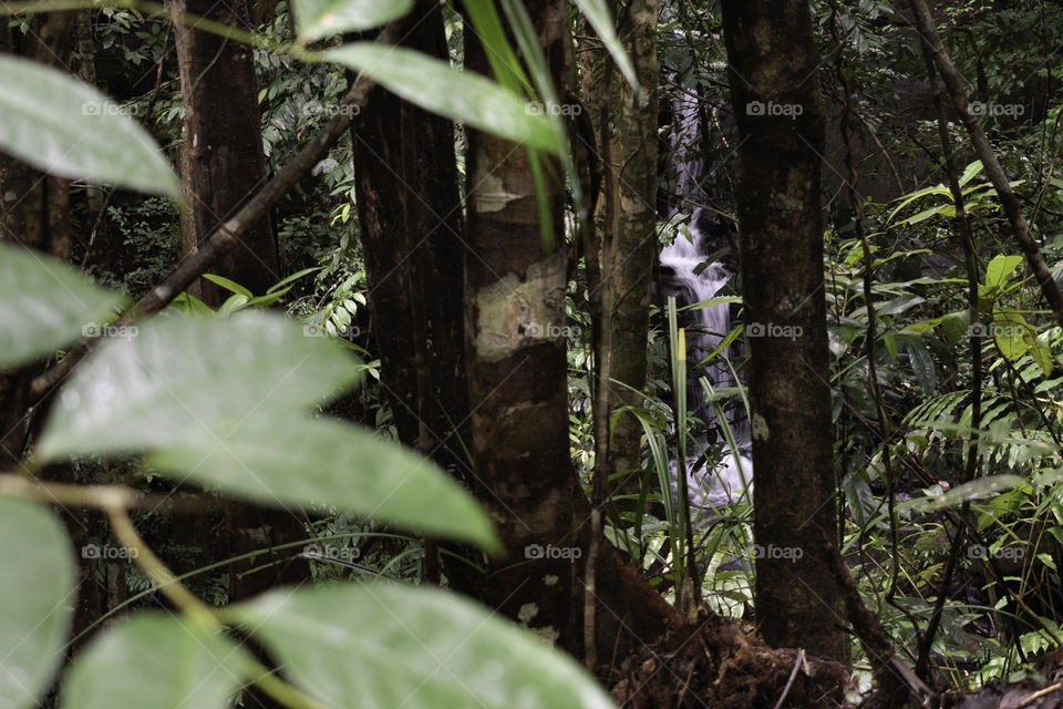 waterfall spotted in the jungle