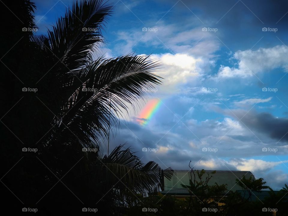 rainbow after the rain