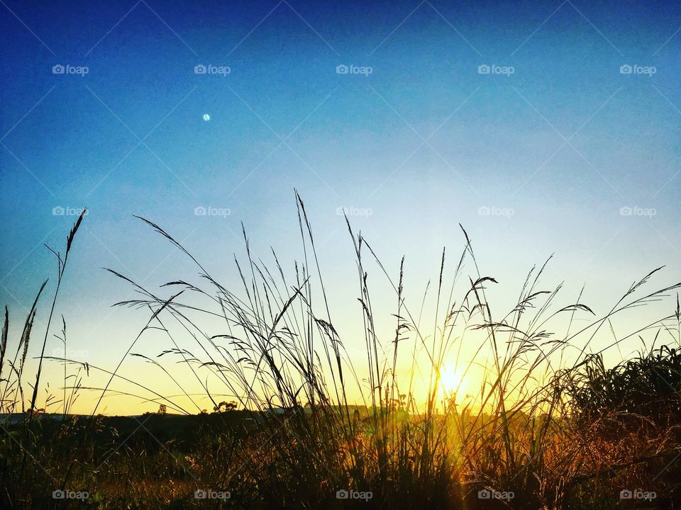 🌅Desperte, #Jundiaí.
Que o #domingo possa valer a pena!
🍃
#sol #sun #sky #céu #photo #nature #morning #alvorada #natureza #horizonte #fotografia #pictureoftheday #paisagem #inspiração #amanhecer #mobgraphy #mobgrafia