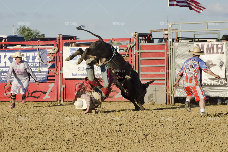 Rodeo action