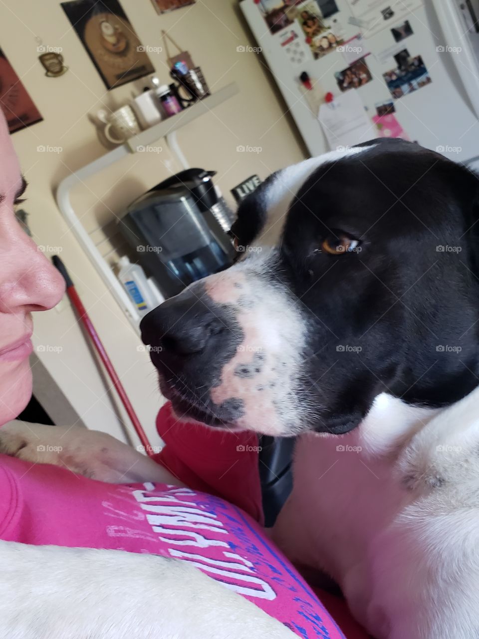 jumping up to say hello