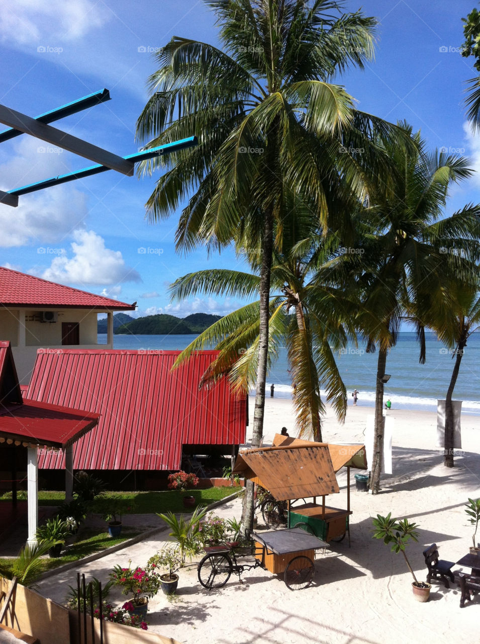 beach sea island tropical by ndia