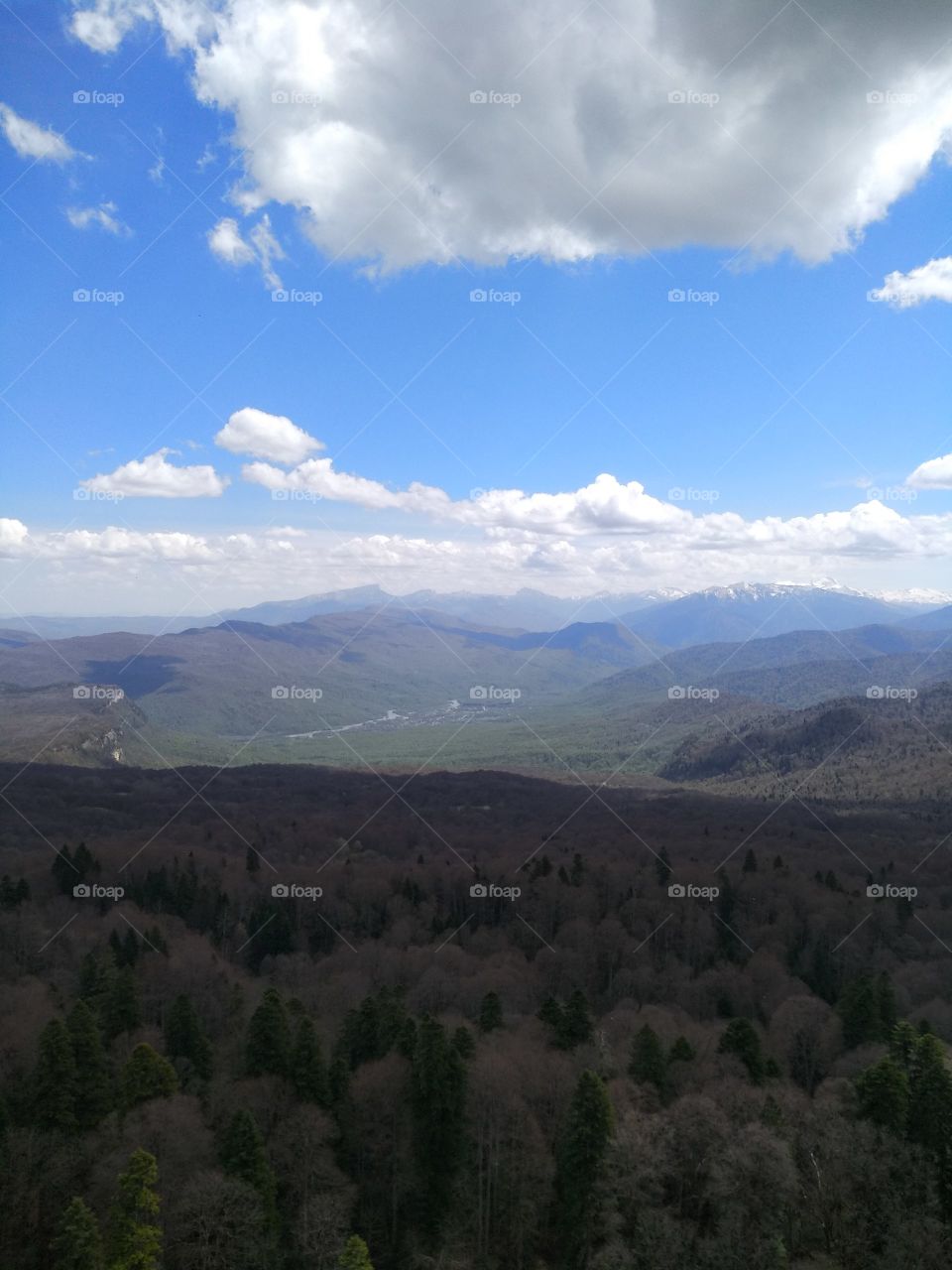 Mountainous landscape