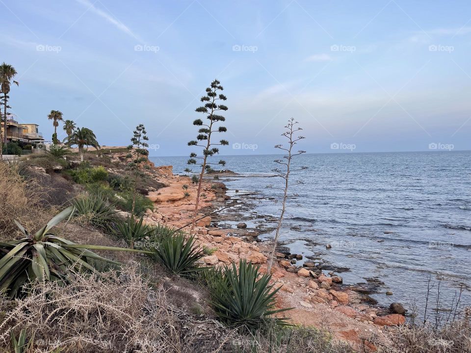 Rocky beach promenade with local flora towards sunset, Torrevieja Spain 