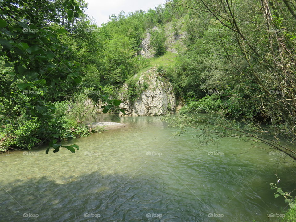 River and stone banka with dense forrest