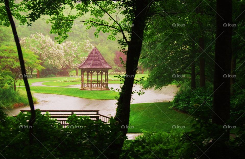 Gazebo grass pond