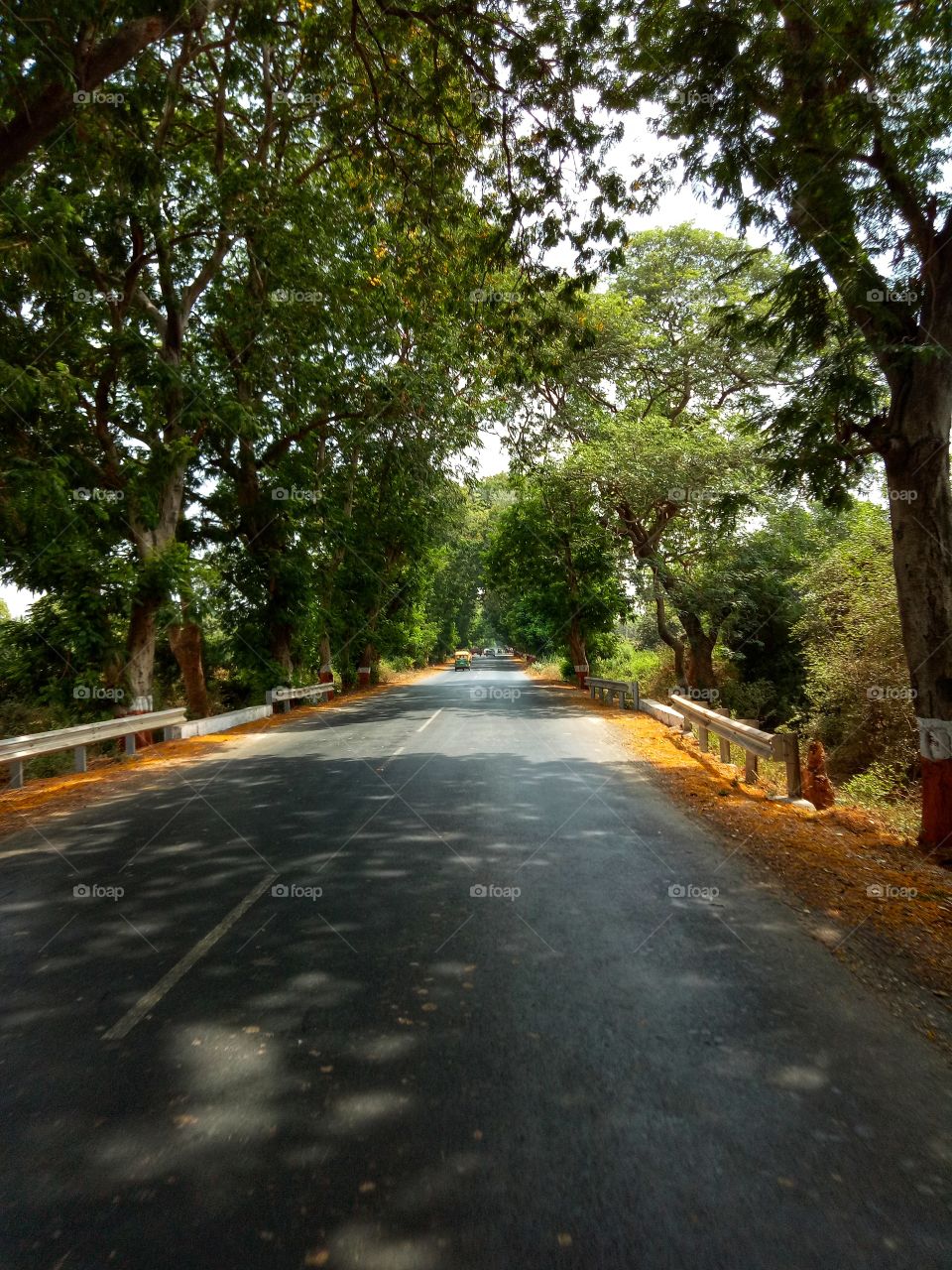 lonly road