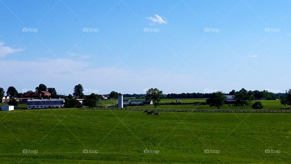 retirement home for Thoroughbred champions in Kentucky