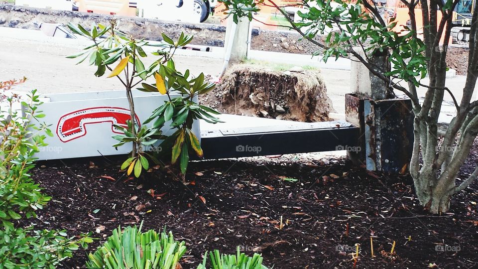 A PHONE IN THE GARDEN.