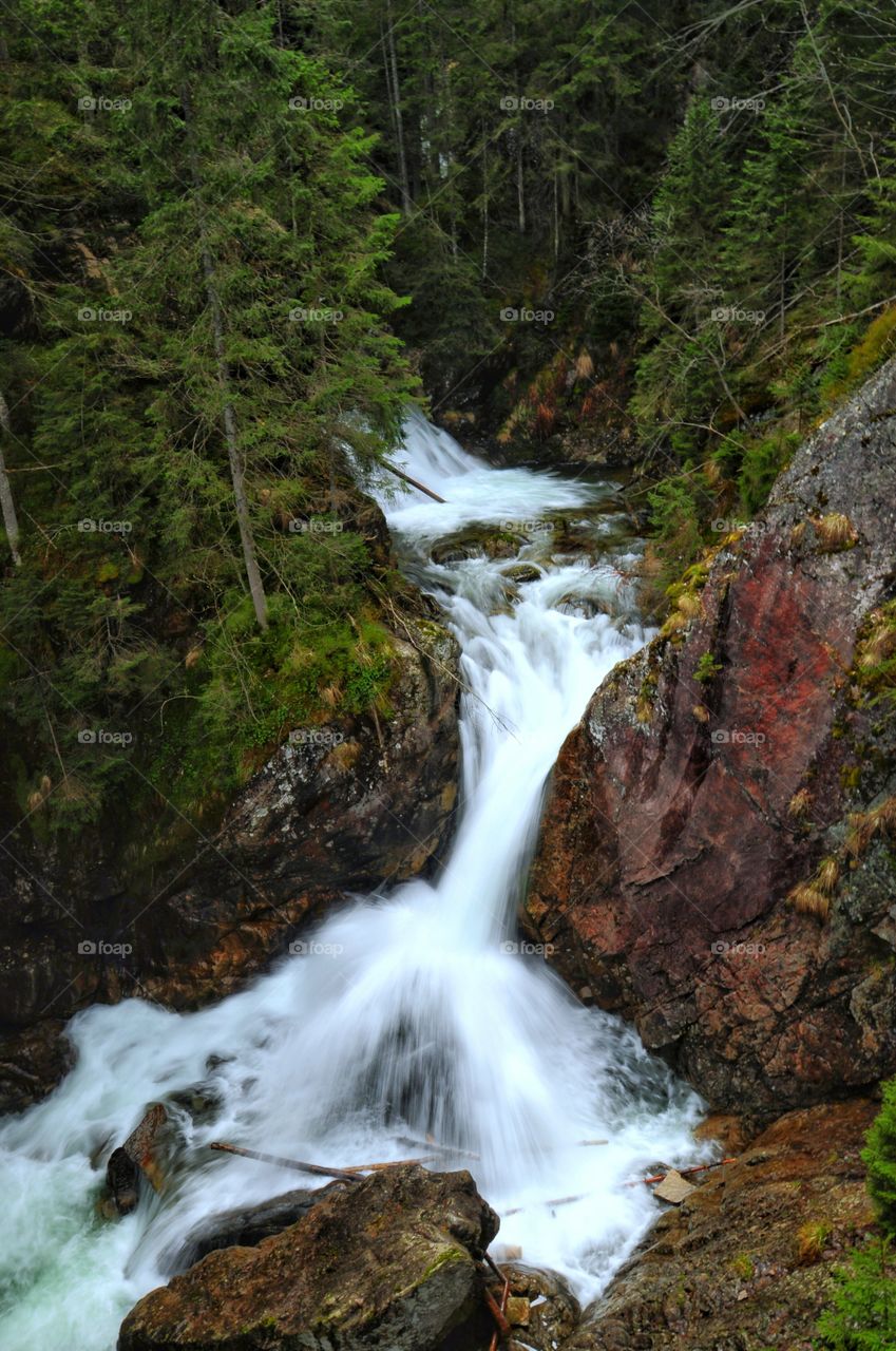 Waterfall at forest