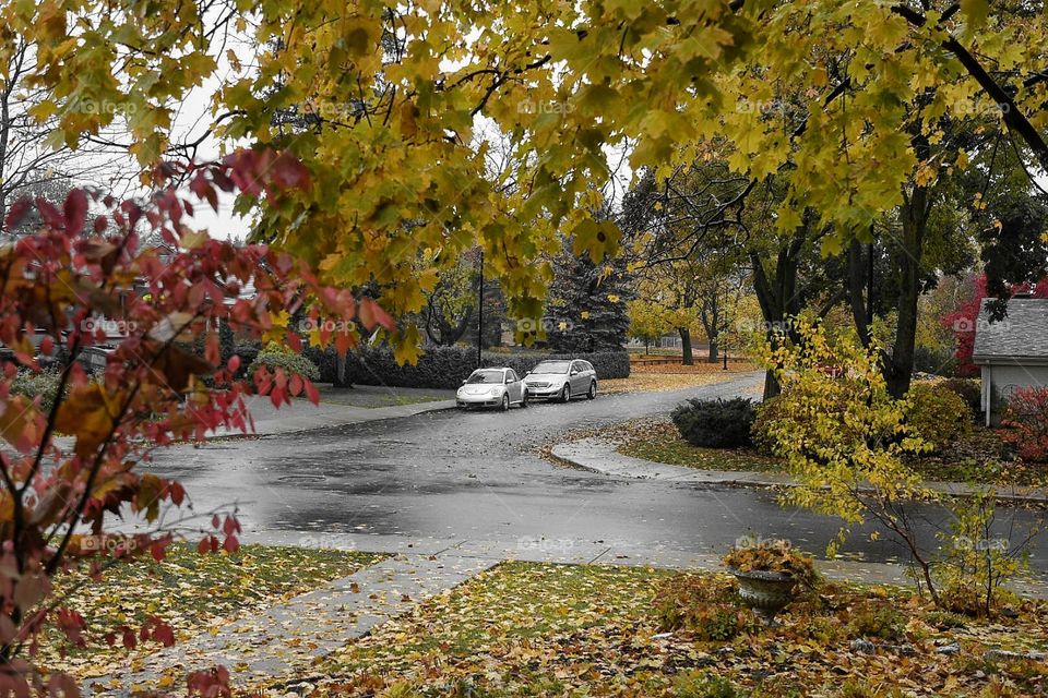 View from my living room this morning. Yep it’s fall in Québec!