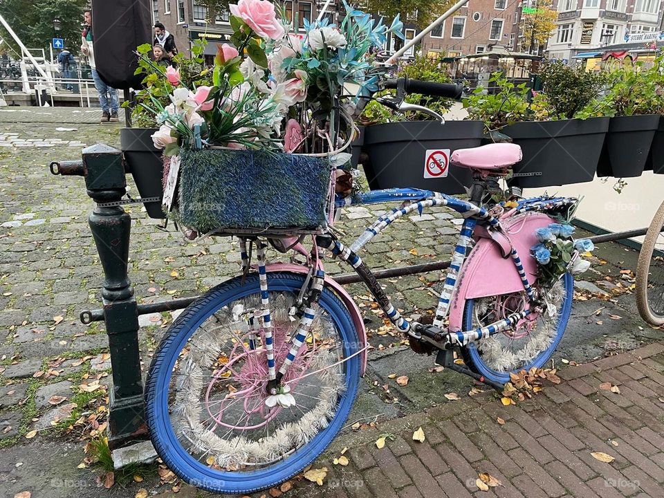 Pink bike 