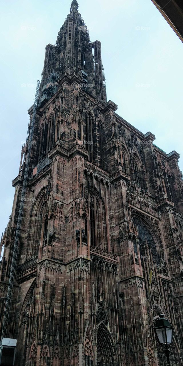 Dom Strassburg