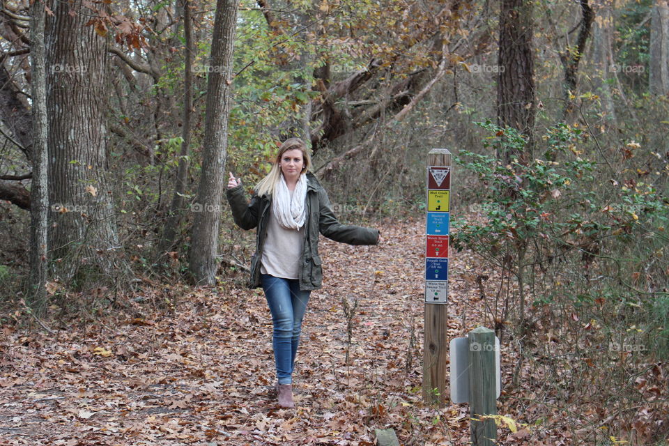 Wood, Tree, Fall, Nature, Leaf