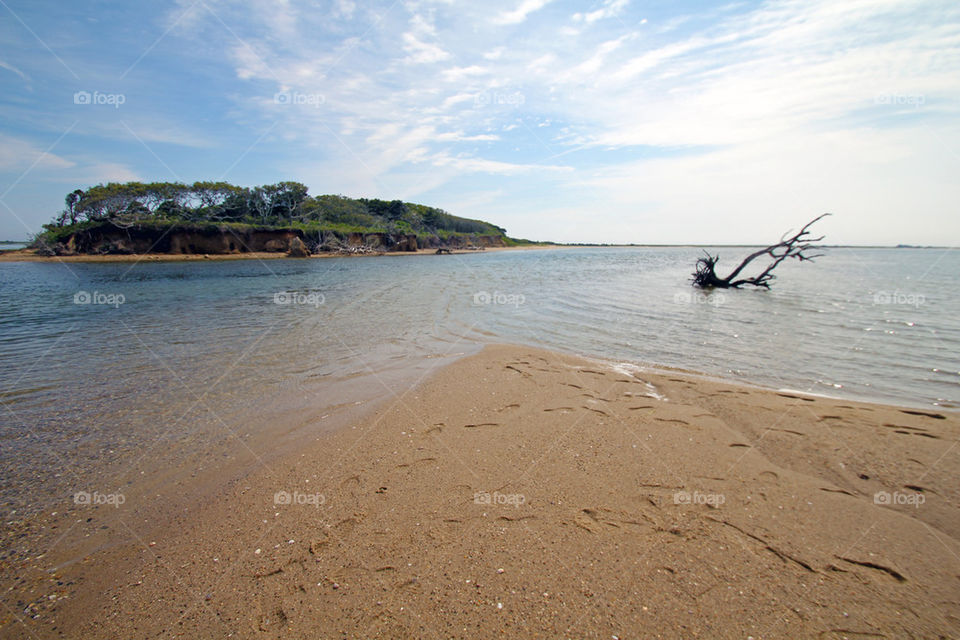 Coatue beach scene, Nantucket 