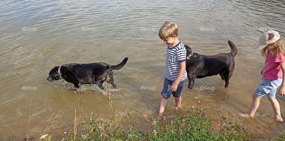 two dogs and child on a water lake summer time, mobile photography