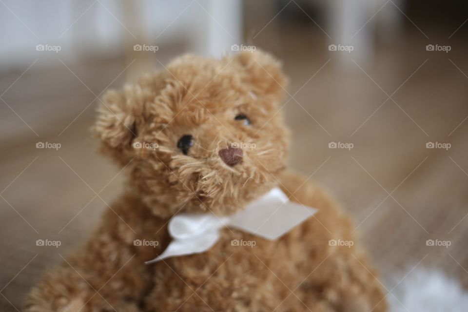 You can tell it to Teddy