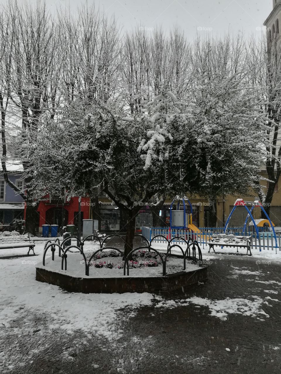 snow on children park, trees