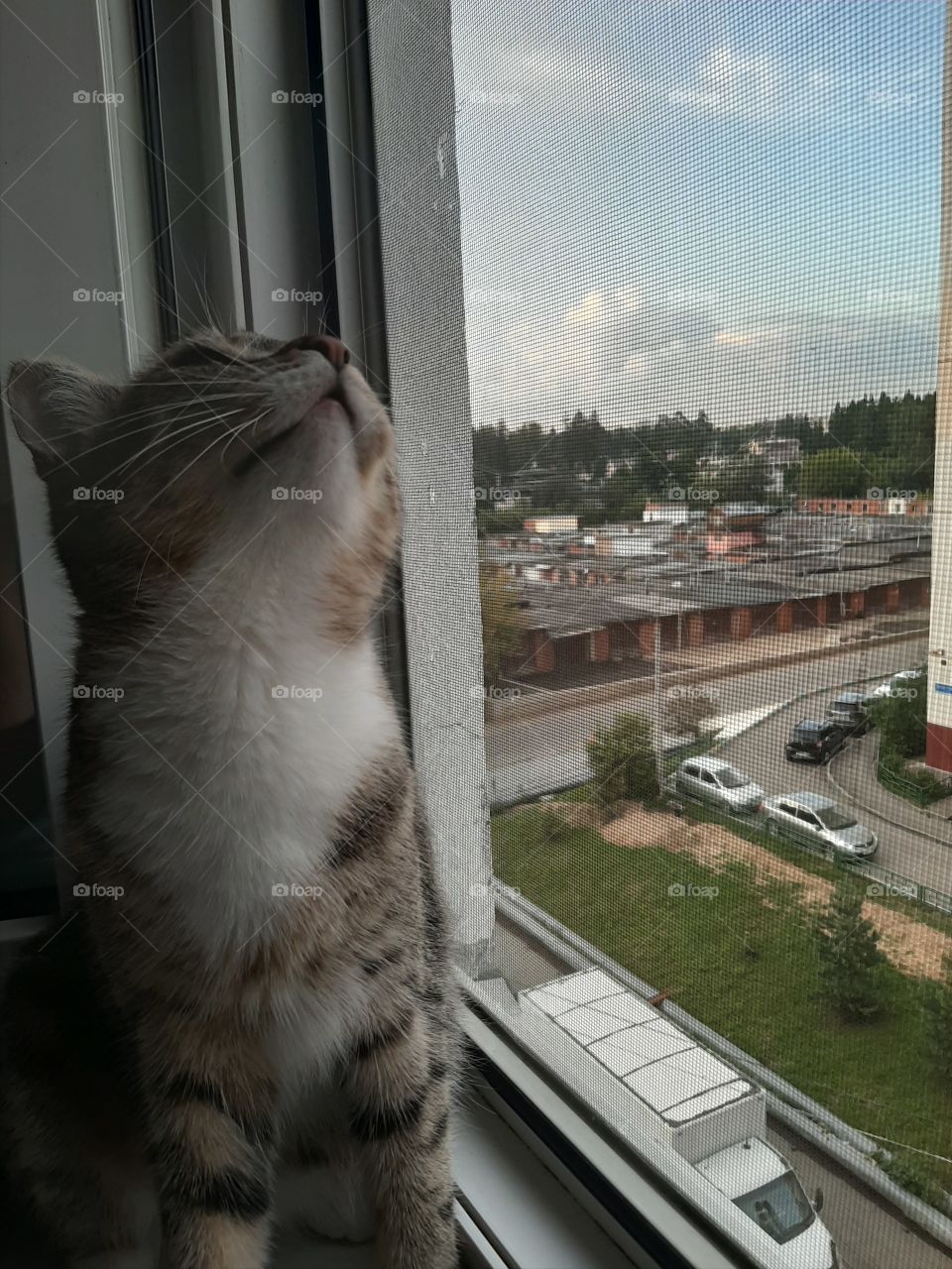 О  господи  пусть   исполниться   !