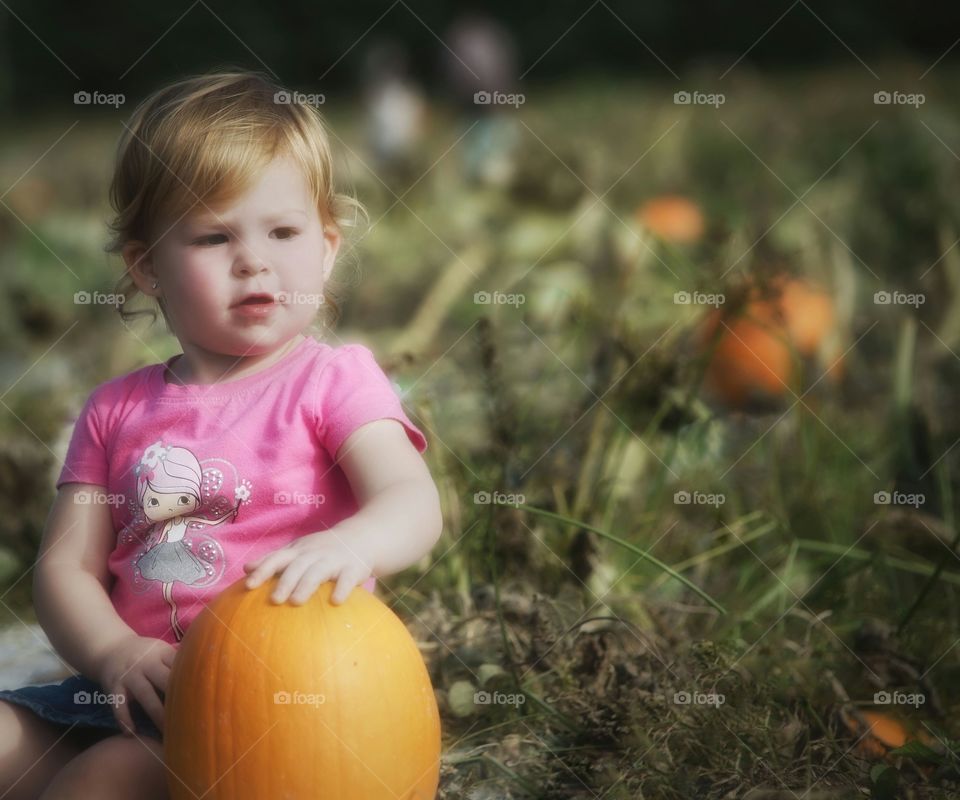 pumpkin patch