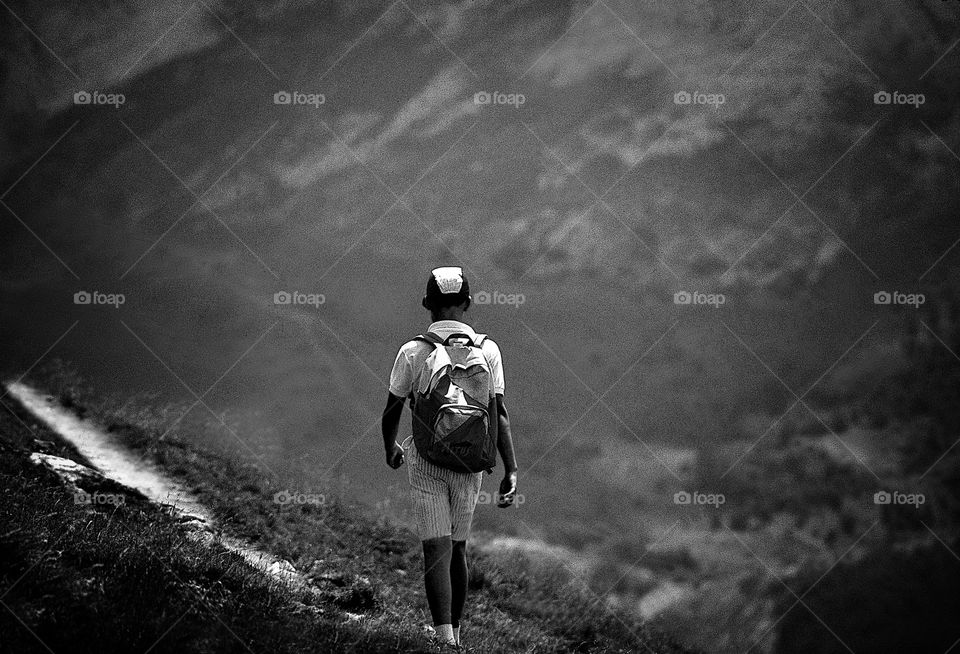 Walkers . Alps