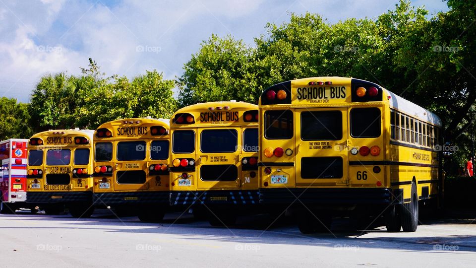 Yellow american school buses