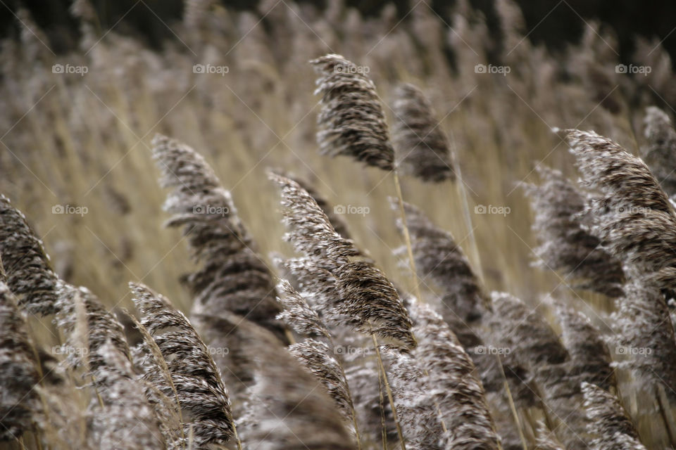 autumn textures