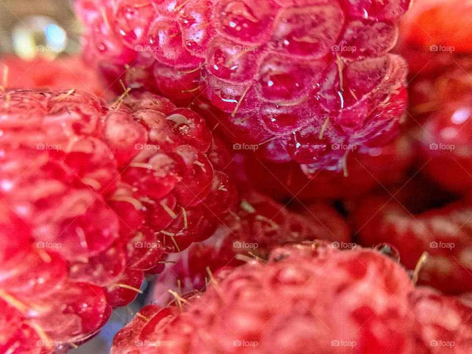 MACRO RED RASPBERRY (the tiny hairs are leftover female reproductive parts of the fruit)