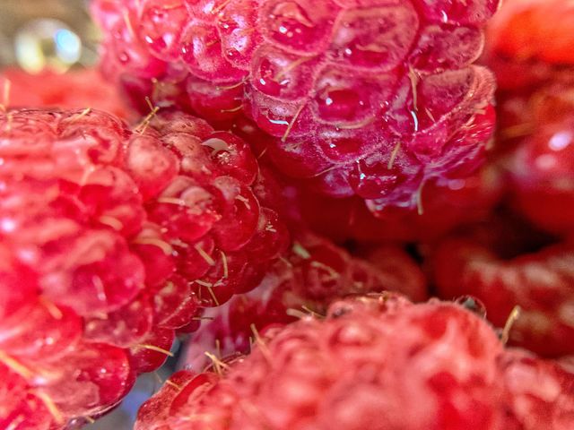 MACRO RED RASPBERRY (the tiny hairs are leftover female reproductive parts of the fruit)