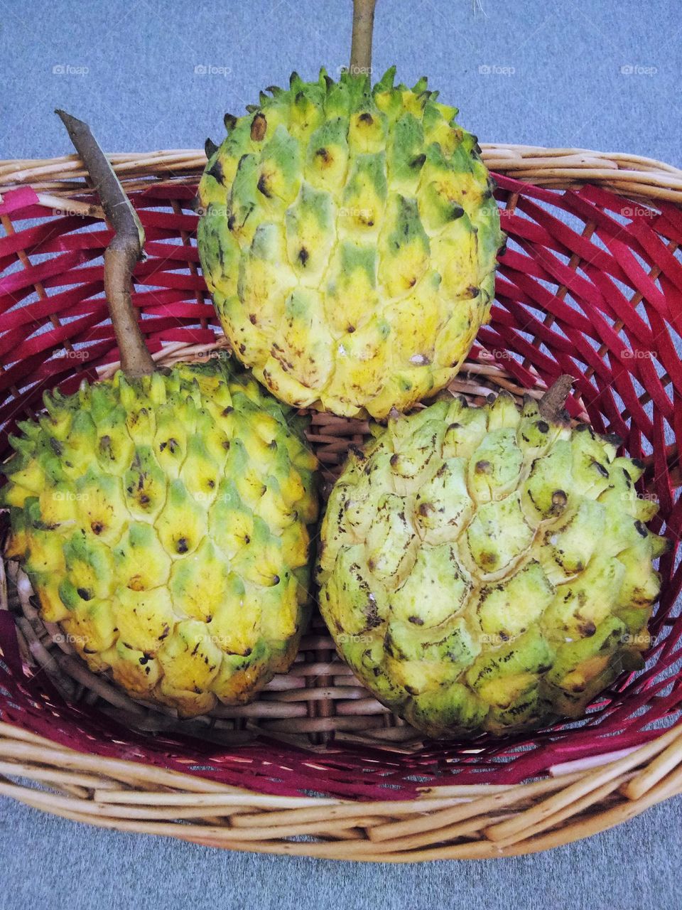 Fruit