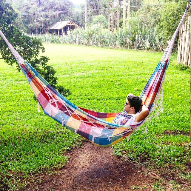 Grass, Leisure, Fun, Swing, Nature
