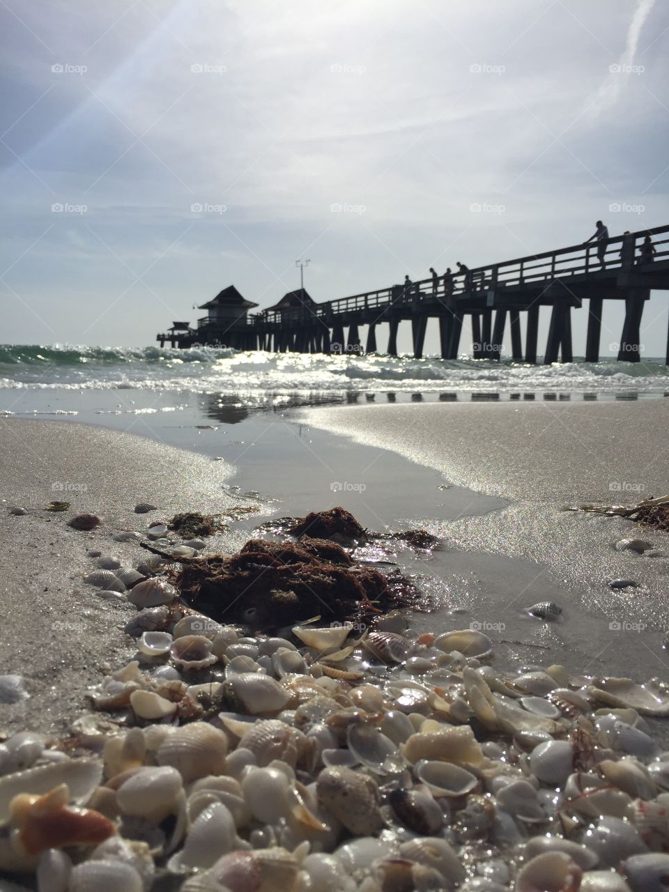 Naples  Pier