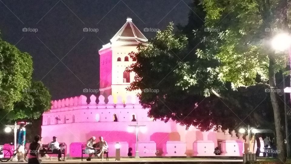 Pink Fortress