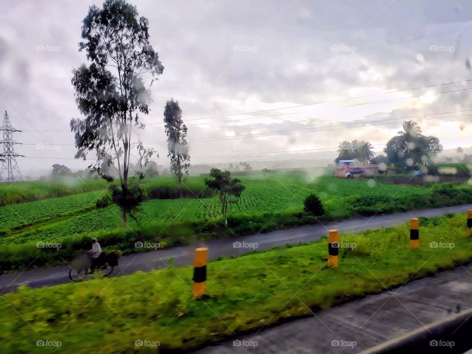 Do men only take a morning walk? no see my image even animals also go for a walk. it's nice to see the nature and it's creatures walking together