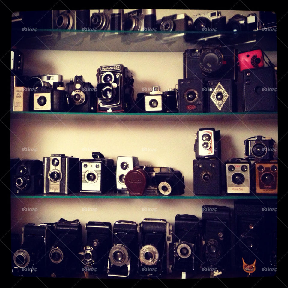 camera shelf awesome kodak by ShutterBug_NikonGirl