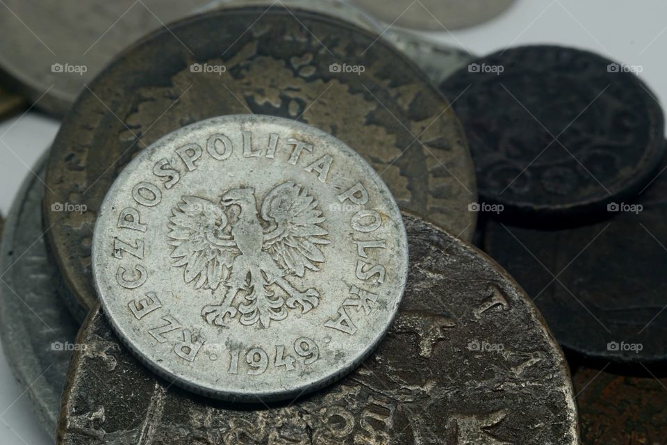 Polish old coin