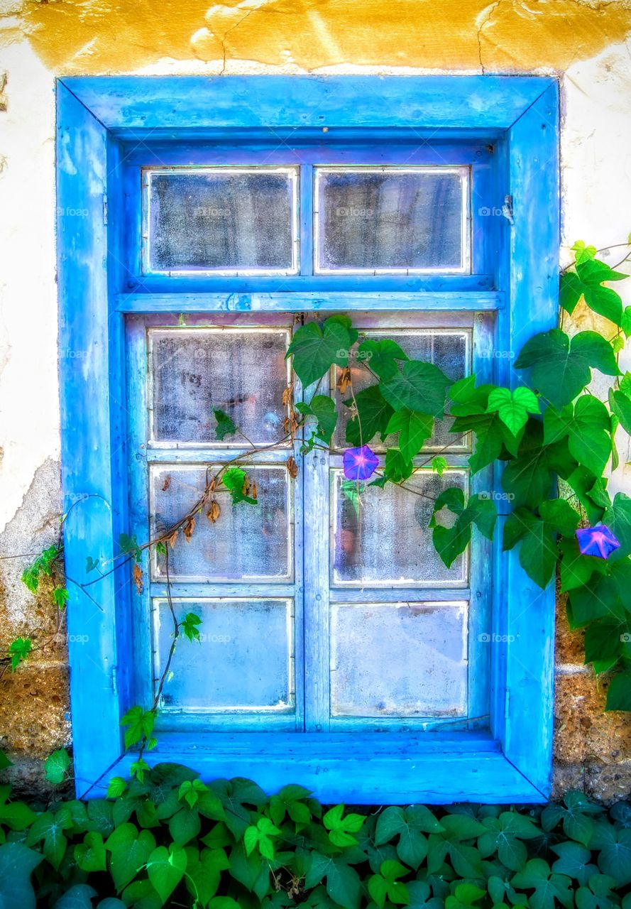 Blue window