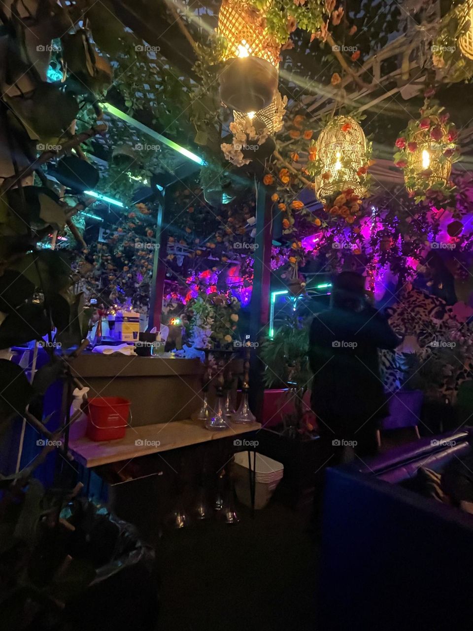 Inside of Highkey Rainforest Rooftop in downtown NYC