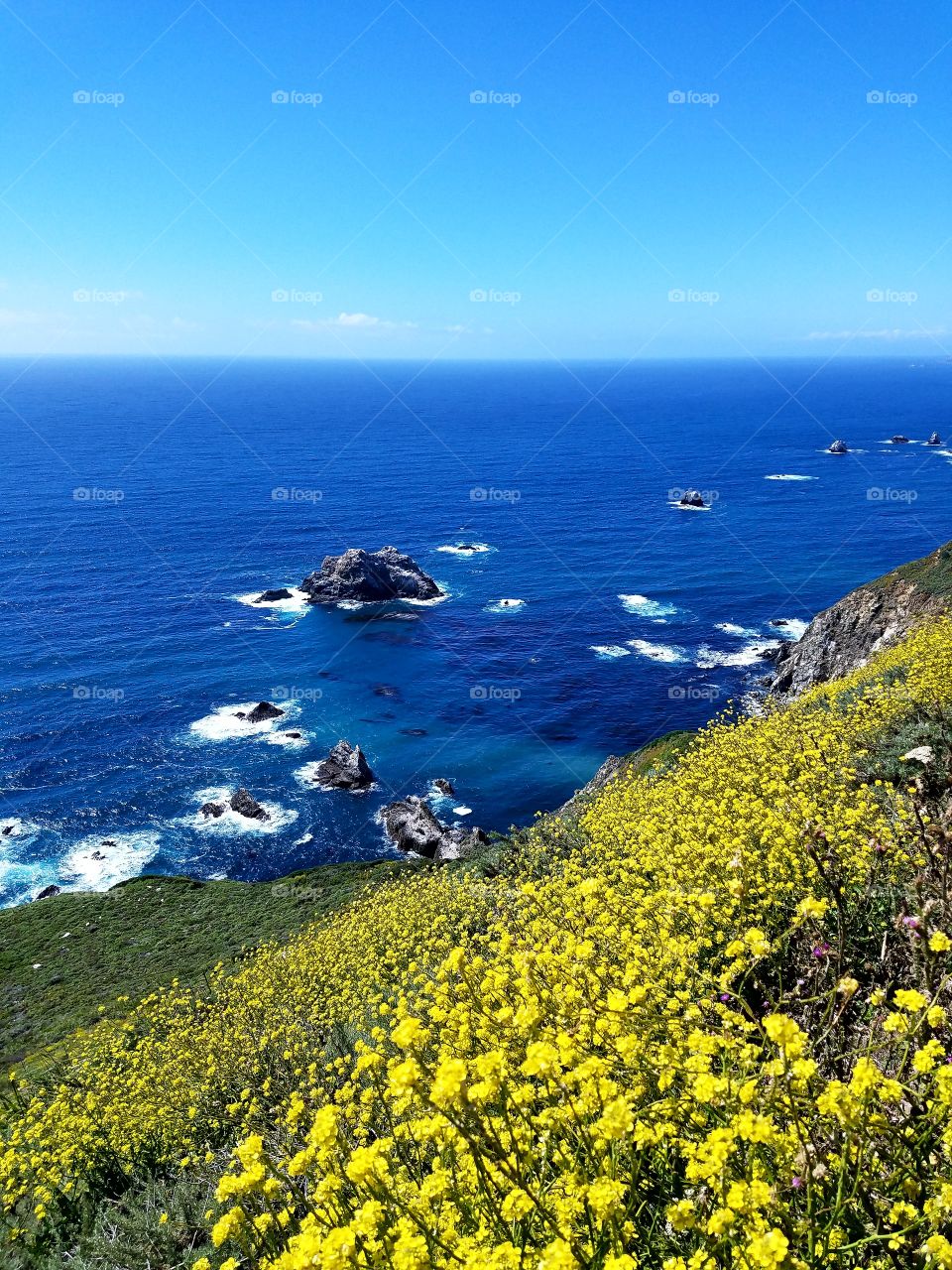 Big Sur coastline