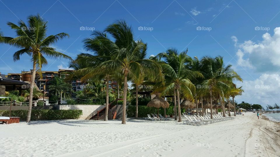 Villa del palmar cancun beach. vacation in Cancun