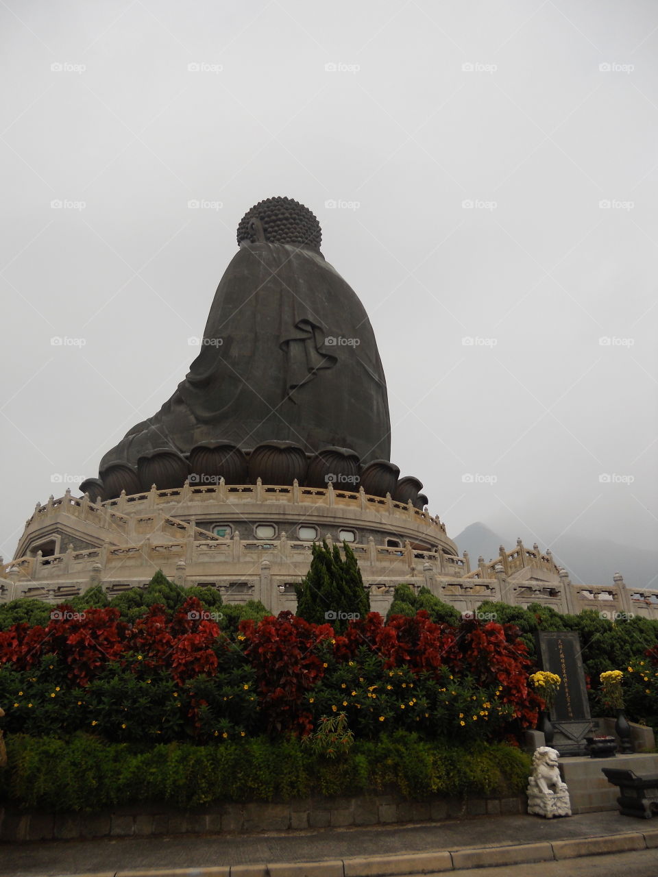 The Big Buddha (Tian Tan) on Lantau island Hong Kong seen from behind